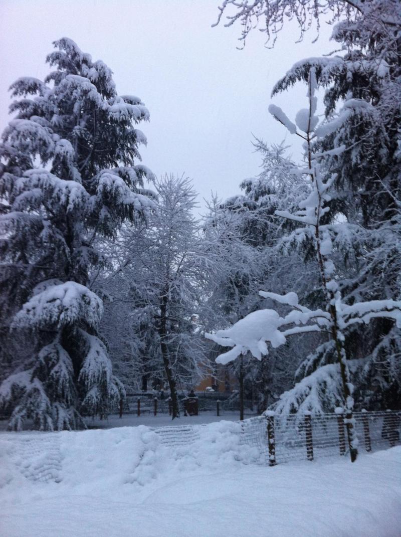 neve