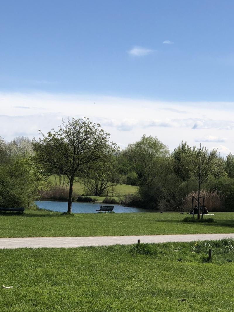 primavera