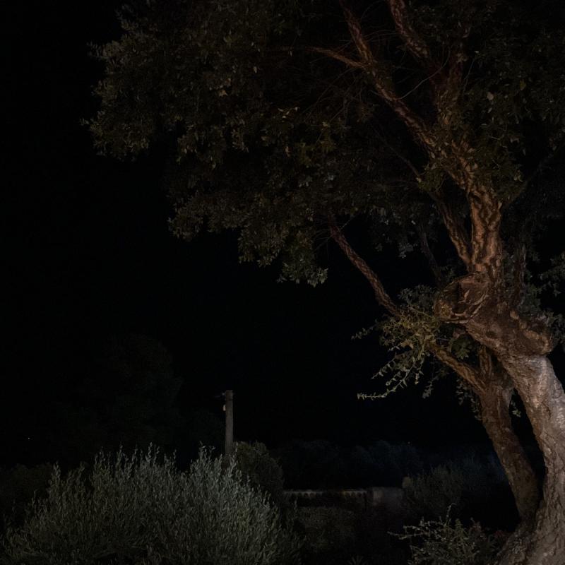 Tarda serata