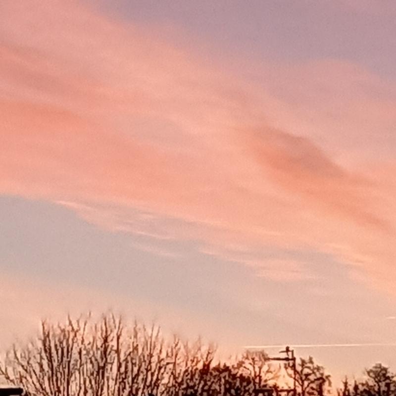Fotosegnalazione di Castronno