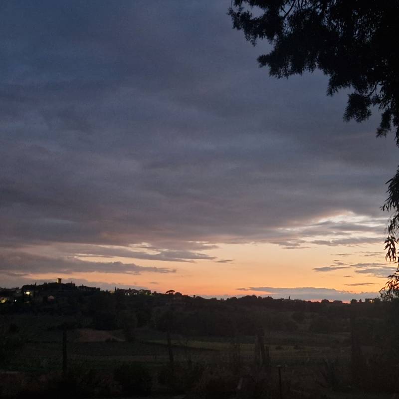 Fotosegnalazione di Cesa della chiana