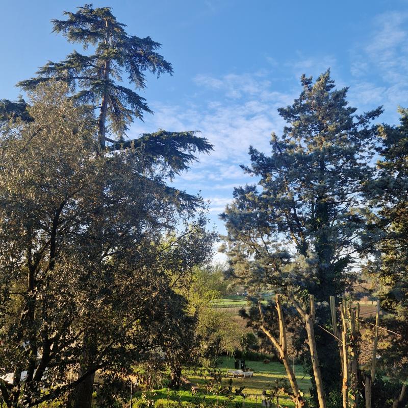 Fotosegnalazione di Cesa della chiana