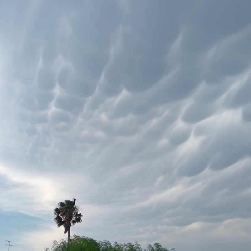 Fotosegnalazione di Albenga