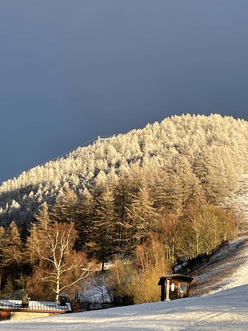 fine inverno