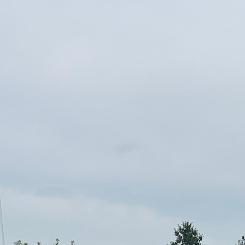 Fotosegnalazione di Pinerolo