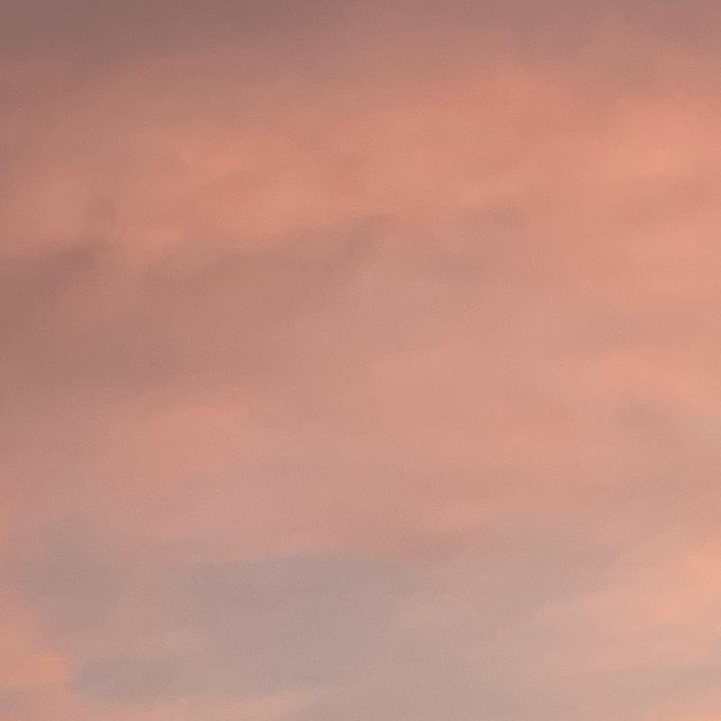 Fotosegnalazione di Bologna