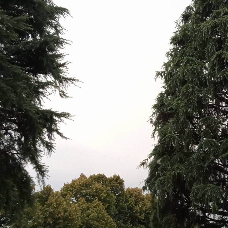 Nubifragio in arrivo un fulmine ogni 3secondi.