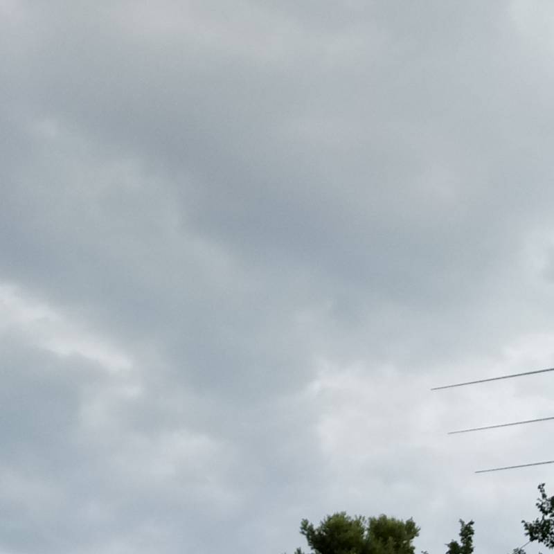 Fotosegnalazione di Pesaro