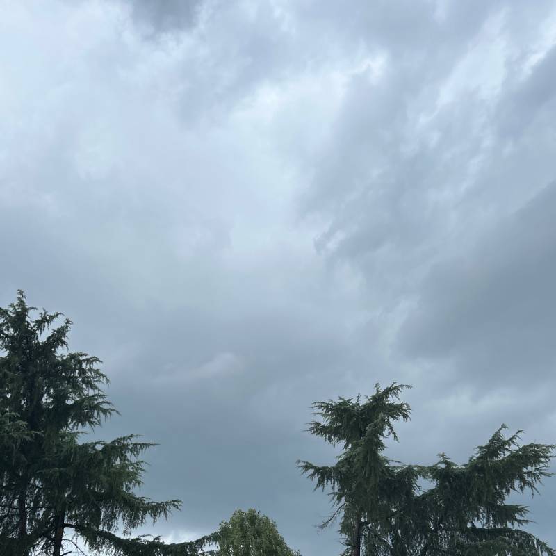 Temporale