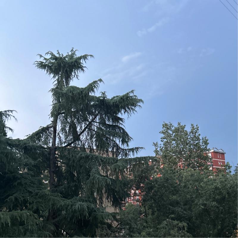 Sembra venire temporale