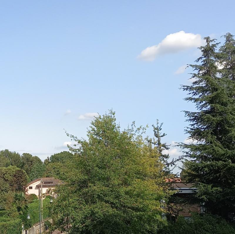 Cielo sereno con