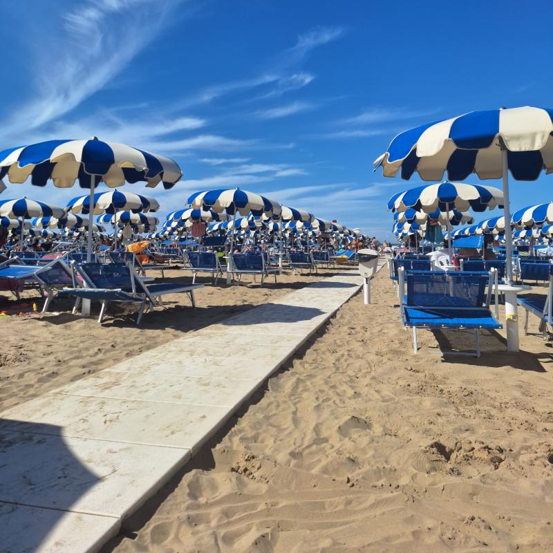 Cattolica