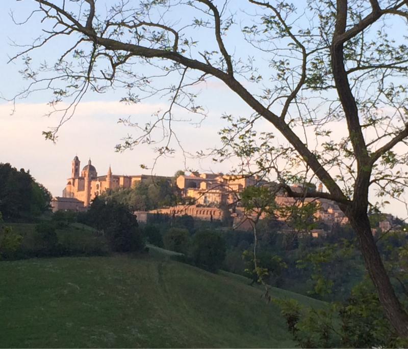 Fotosegnalazione di Urbino