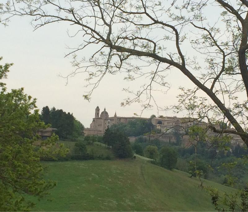 Fotosegnalazione di Urbino