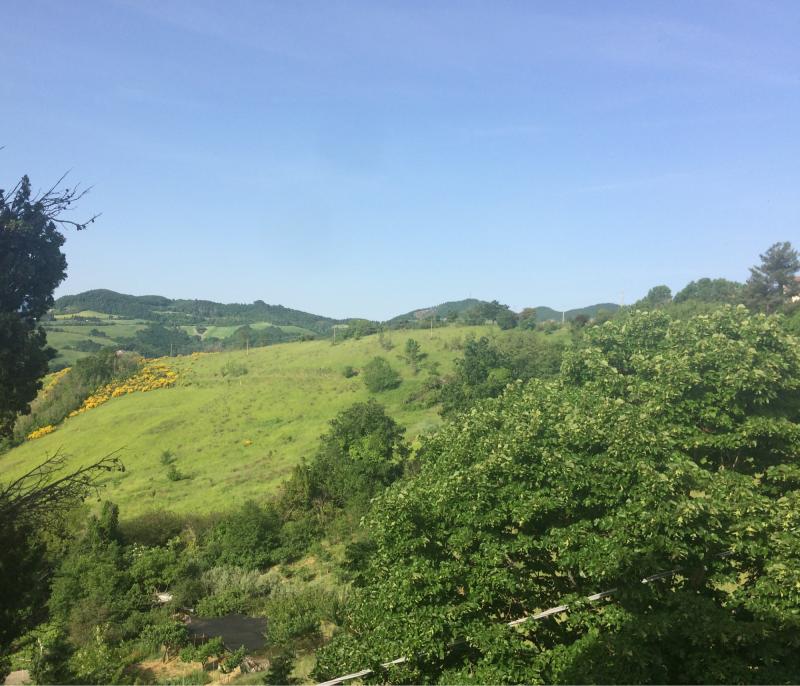 Fotosegnalazione di Urbino