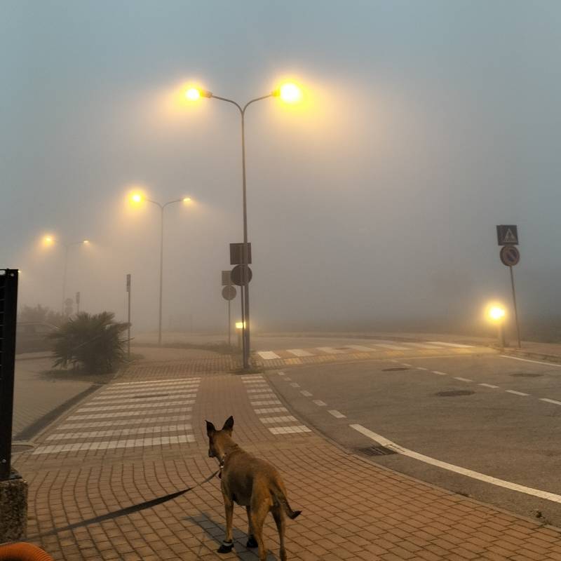 Fotosegnalazione di Masera' di padova