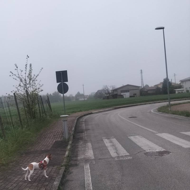Fotosegnalazione di Masera' di padova