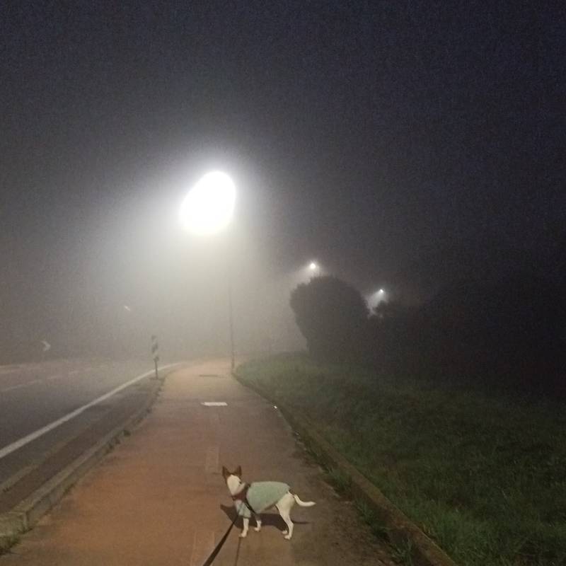 Fotosegnalazione di Masera' di padova