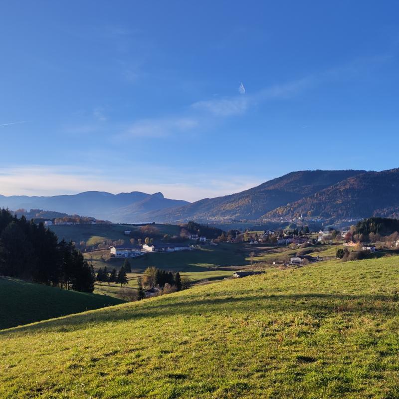 Fotosegnalazione di Roana