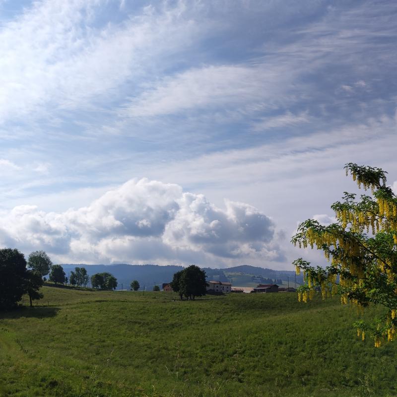 Fotosegnalazione di Roana