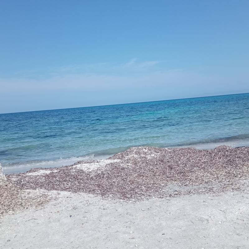Fotosegnalazione di Stintino