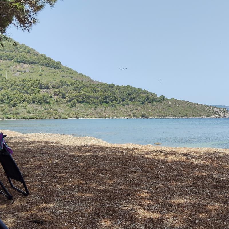 Fotosegnalazione di Alghero