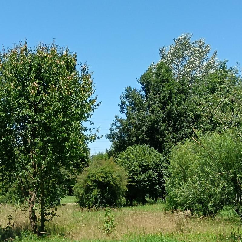 Fotosegnalazione di San giuliano milanese