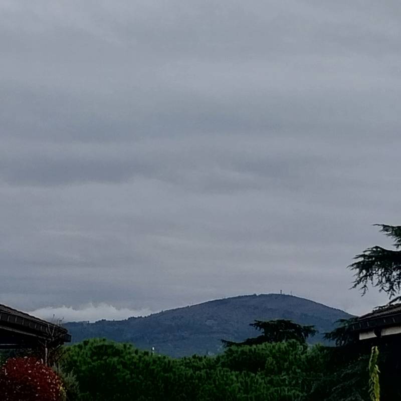 Fotosegnalazione di Firenze campo di marte