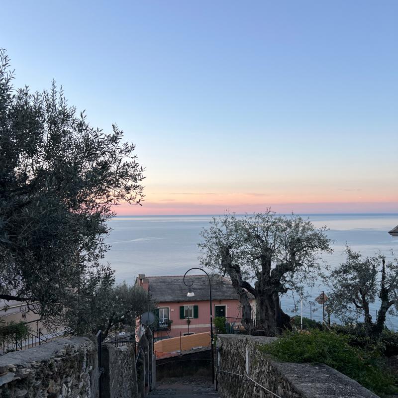 Fotosegnalazione di Pieve ligure