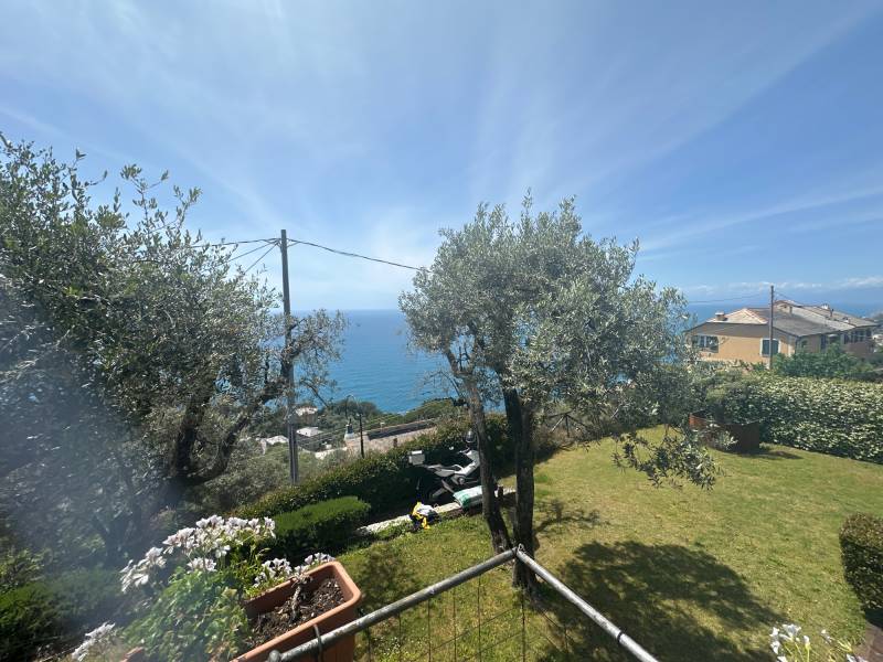 Fotosegnalazione di Pieve ligure