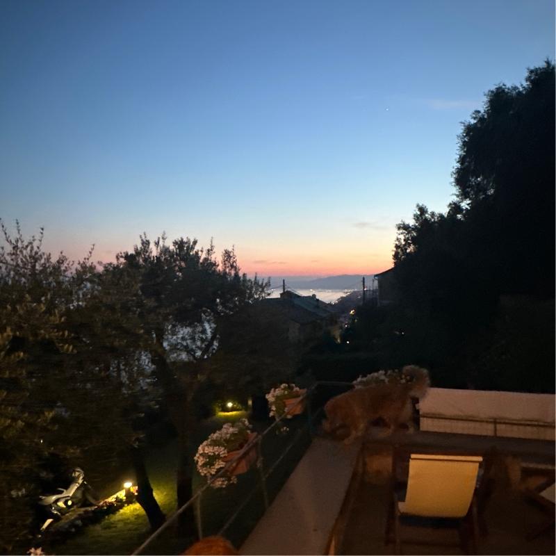 Fotosegnalazione di Pieve ligure