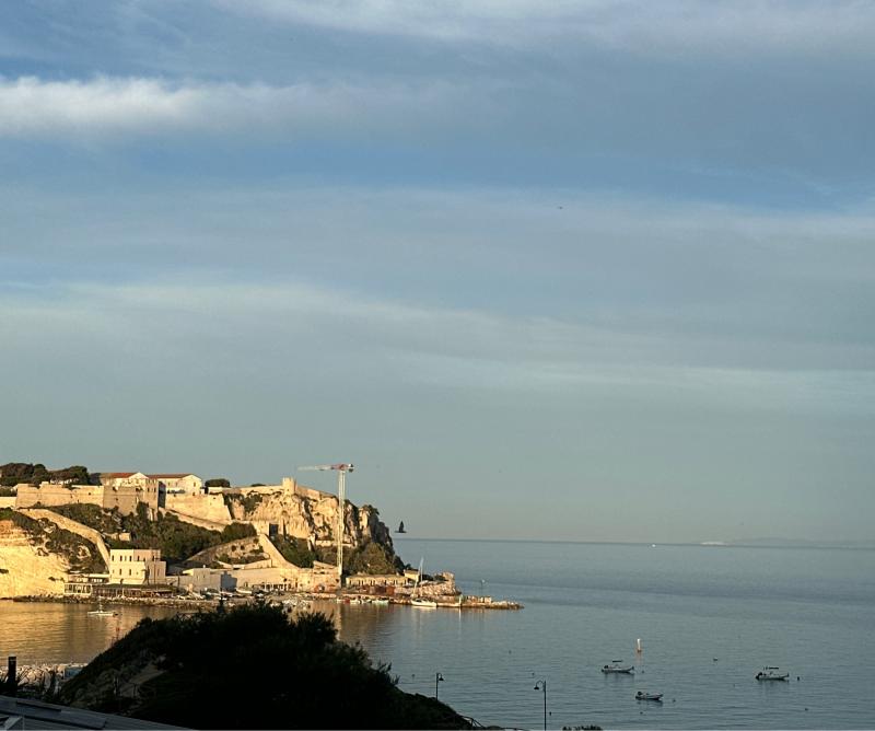 Fotosegnalazione di Isole tremiti