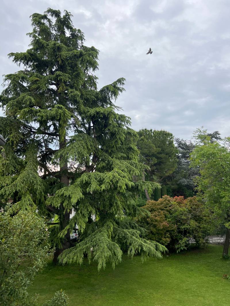 07052024 ore 1815 cielo coperto senza precipitazioni