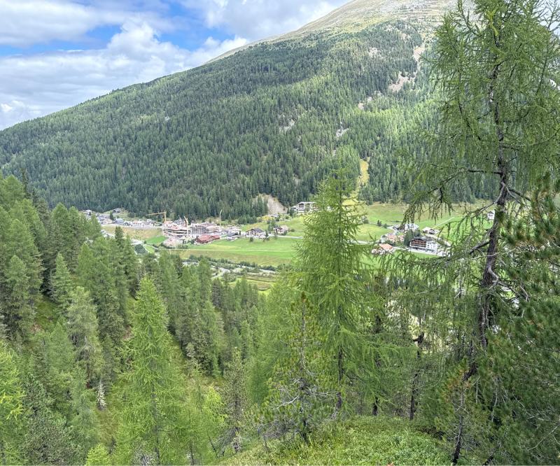Fotosegnalazione di Solda