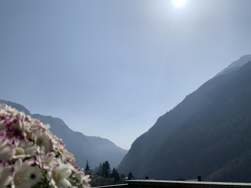 giornata di primavera