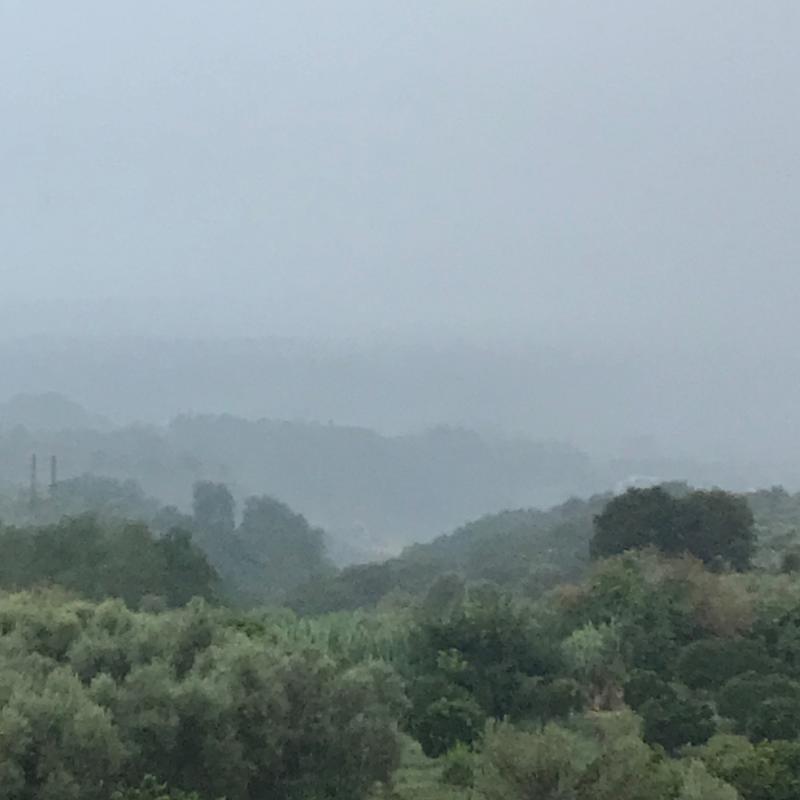 Fotosegnalazione di Laureana di borrello