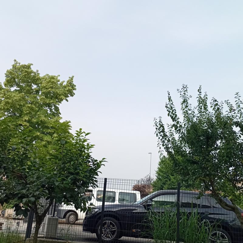 Fotosegnalazione di Castelnuovo del garda