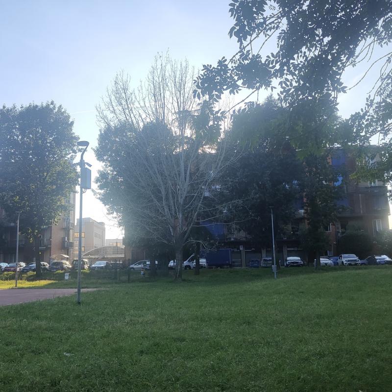 Fotosegnalazione di Cormano