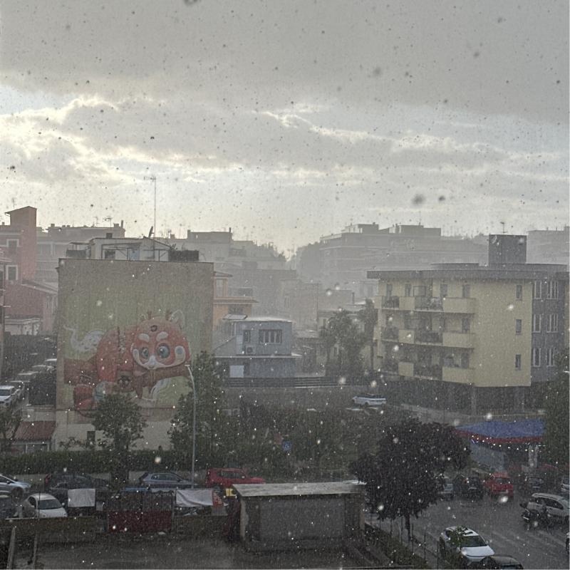 Fotosegnalazione di Roma prenestino