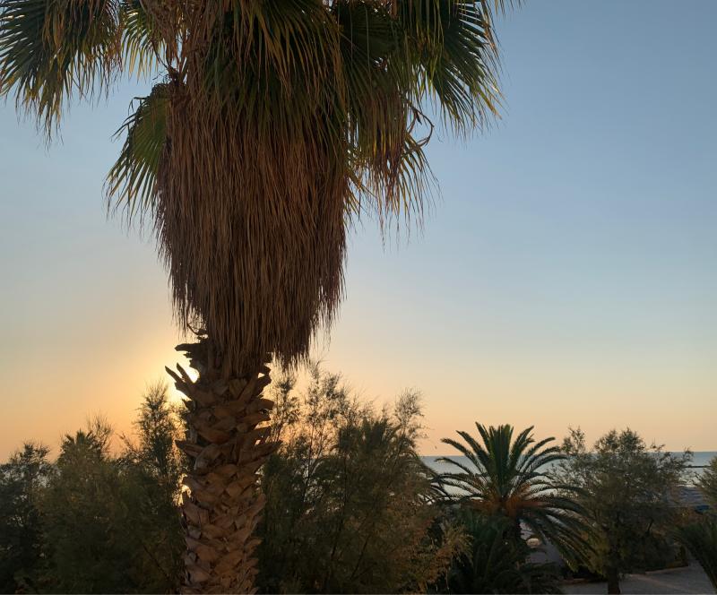 Fotosegnalazione di San benedetto del tronto