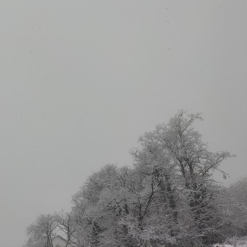 Fotosegnalazione di Roncegno terme