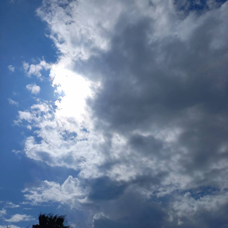 Fotosegnalazione di Isca sullo ionio