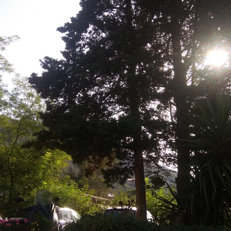 Fotosegnalazione di Campo nell'elba