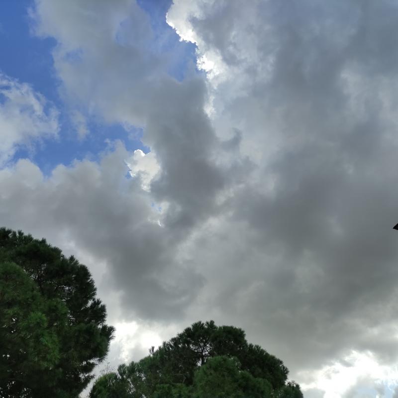 Fotosegnalazione di Rho