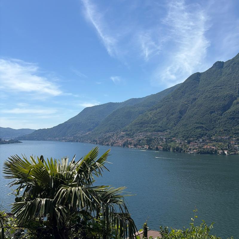 Fotosegnalazione di Pognana lario