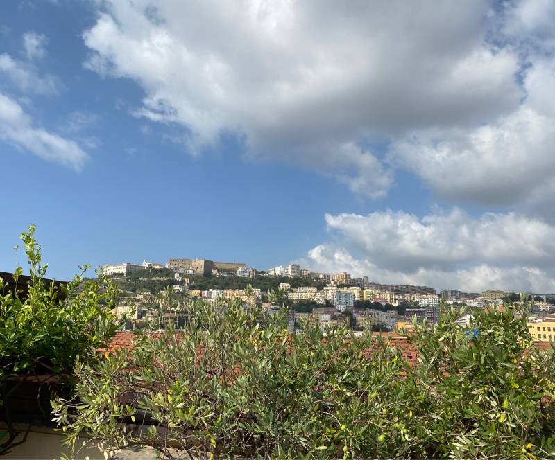 Fotosegnalazione di Napoli