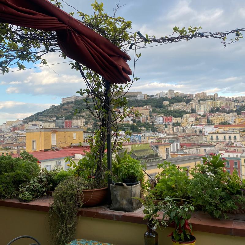 Fotosegnalazione di Napoli san lorenzo
