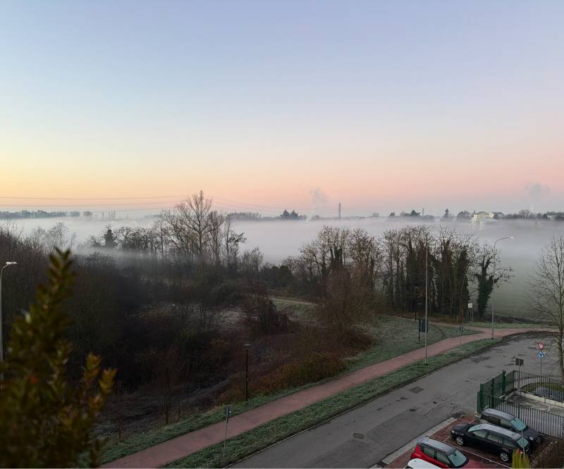 Bosco della besozza nella nebbia