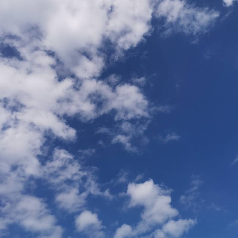 Cielo principalmente bello giornata molto ventilata non si prevedono pioggie