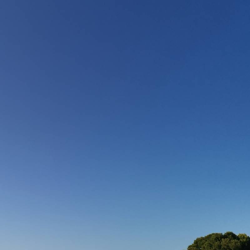 Giornata meravigliosa nessuna presenza di nubi